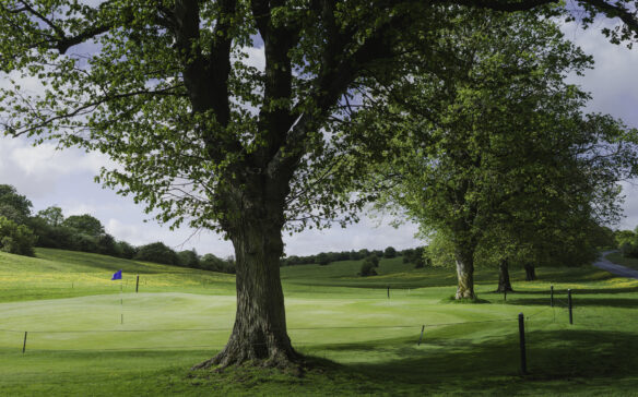 Golf Resort Development Card Image